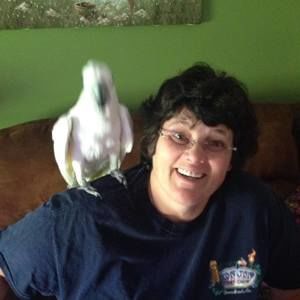 Meet your Posher, Diana